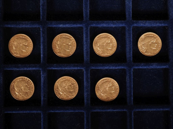 Sept pièces de 20 Francs or, 1900, 1902 (x3), 1904 et 1905 (x2).  FRAI
