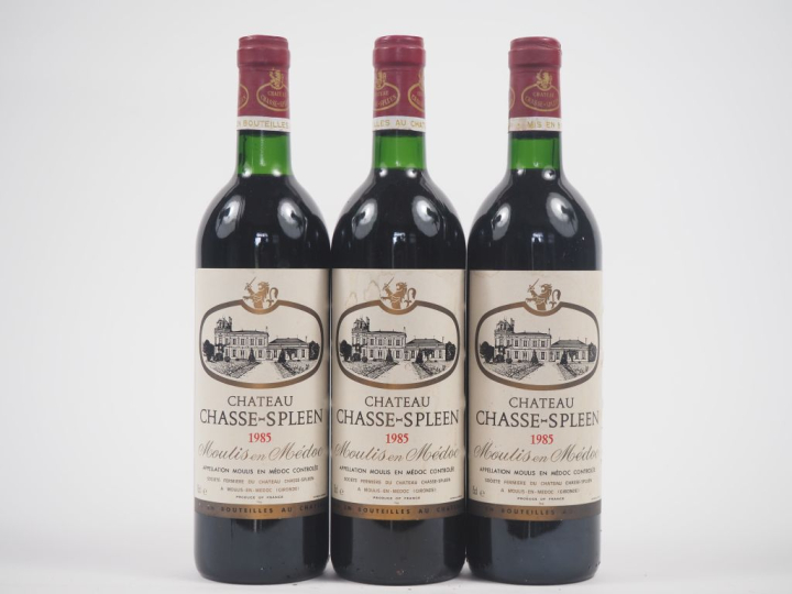 3 BOUTEILLES CHÂTEAU CHASSE SPEEN MOULIS - 1985 - BG