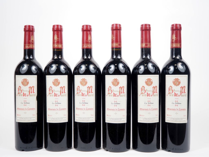6 BOUTEILLES MINERVOIS LA LIVINIÈRE DOMAINE BORIE DE MAUREL " LA FÉLIN