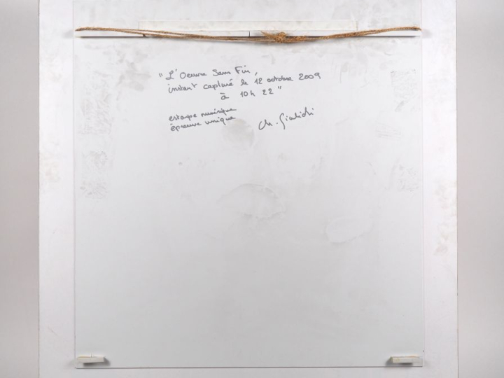 Ch. GIALIDI.  "l'œuvre sans fin, instant capturé le 12,10,2009 à 10h22