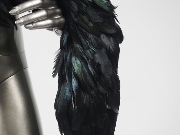 Ravissant boa en plumes noires irisées. Long. 210 cm environ