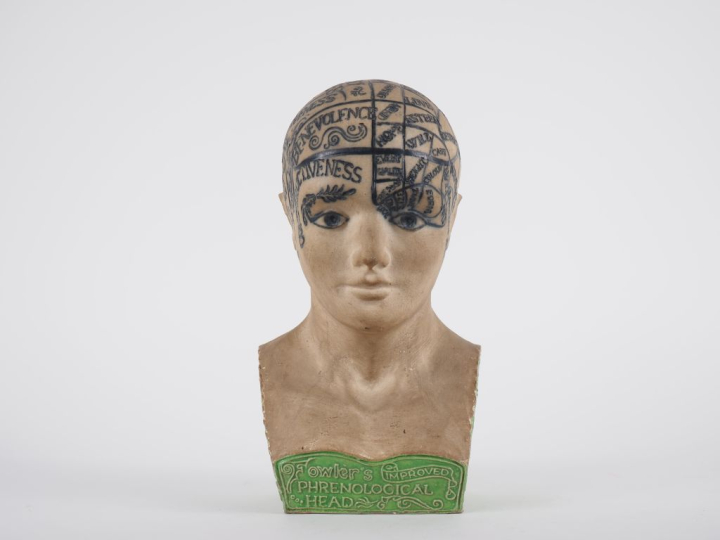 Ecole anglaise Xxème "Phrenological Head" Sculpture en plâtre polychro
