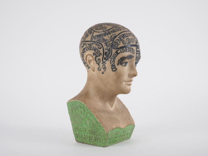Ecole anglaise Xxème "Phrenological Head" Sculpture en plâtre polychro
