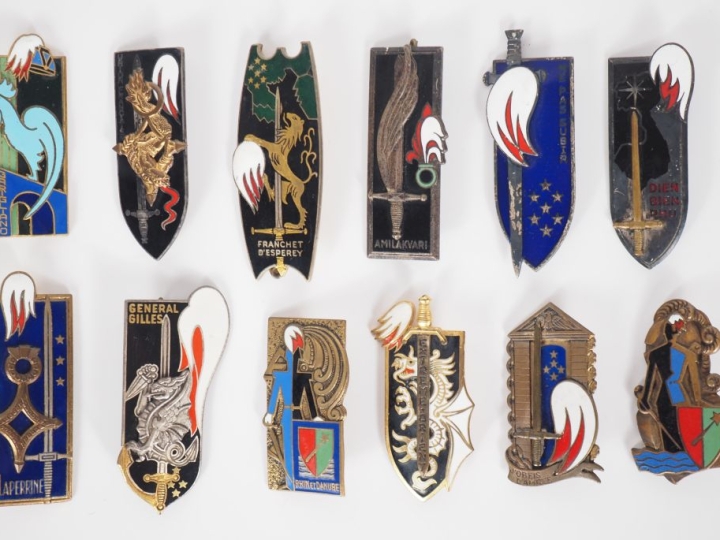 ESM SAINT-CYR Douze insignes :  Rhin   Danube (2 variantes, une Drago 
