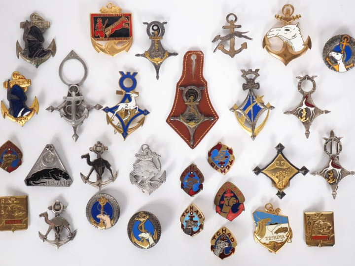TROUPES DE MARINE  Ensemble de vingt neuf insignes :  Deux méharistes 