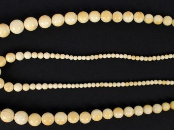 2 colliers de perles en ivoire disposées en chute. 58 et 36cm environ.