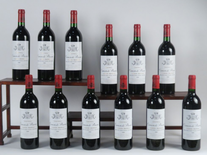 12 BOUTEILLES CHÂTEAU CANON DE BREM CANON FRONSAC - 1989 - CBO