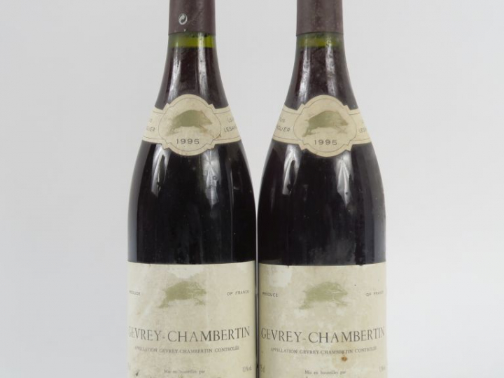 2 BOUTEILLES GEVREY CHAMBERTIN LOUIS LESANGLIER - 1995