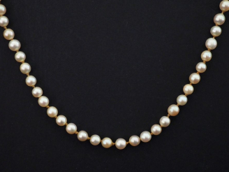 Vente aux enchères Collier de perles blanches. Fermoir en or jaune.  Poids tel. 17,80 g (
