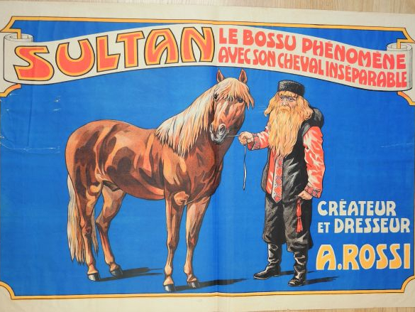 Affiche de cirque. 'A. Rossi créateur et dresseur, Sultan le bossu phé
