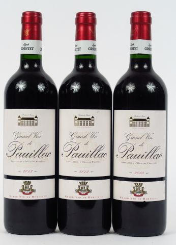 Lot de 3 BOUTEILLES GRAND VIN DE PAUILLAC GINESTET - 2013 au prix de 25 ...