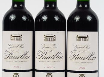 Lot de 3 BOUTEILLES GRAND VIN DE PAUILLAC GINESTET - 2013 au prix de 25 ...