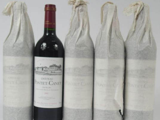 5 BOUTEILLES CHATEAU PONTET CANET GCC PAUILLAC - 2001