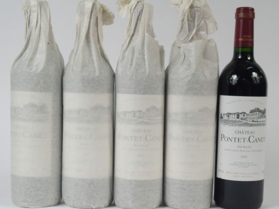 5 BOUTEILLES CHATEAU PONTET CANET GCC PAUILLAC - 2001