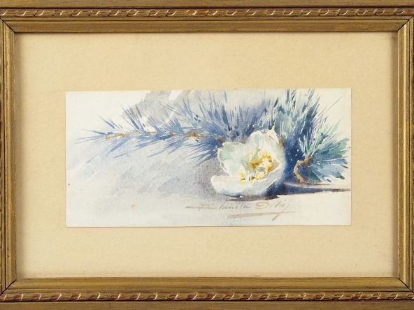 Blanche ODIN 'Fleurs blanches et branchage sur un entablement'. Aquare