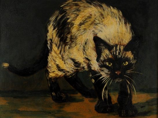 Francis PICABIA (1879-1953), "Le chat". Huile sur carton, signée en ba