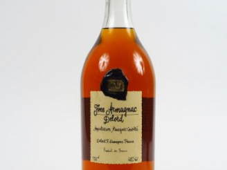 Vente aux enchères 1 MAGNUM FINE ARMAGNAC DELORD