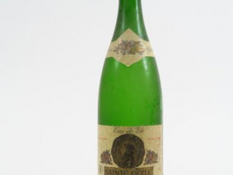 Vente aux enchères 1 BOUTEILLE (1 L) POIRE WILLIAMS STE ODILE 43°