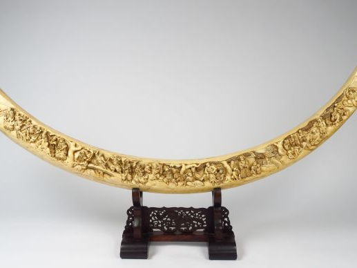 Exceptionnelle défense en ivoire, finement sculptée sur deux faces, de