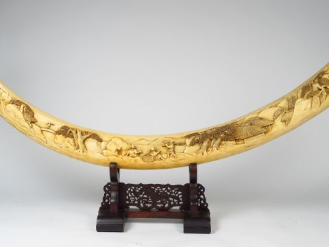 Exceptionnelle défense en ivoire, finement sculptée sur deux faces, de