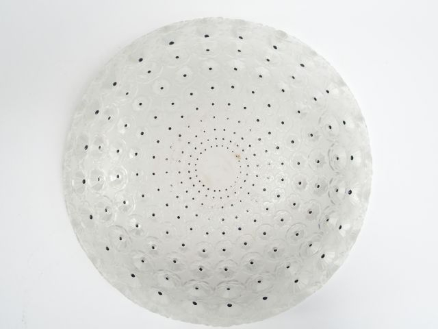 LALIQUE. Coupe "cactus". H. : 10,5cm, Diam. : 25cm Signée.