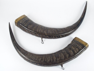 Vente aux enchères Trois cornes de buffles, dont une paire