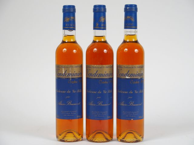 3 BOUTEILLES (50 cl) PACHERENC DE VIC BILH VENDEMIAIRE A. BRUMONT - 19