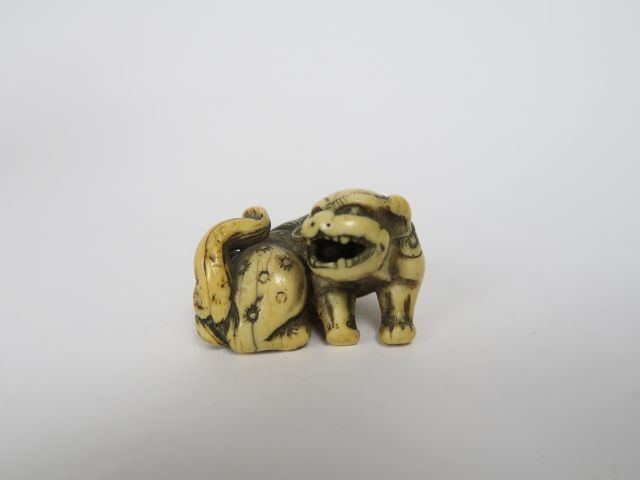 Netsuke en ivoire représentant un shishi couché, la tête vers l’arrièr