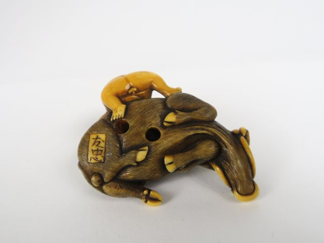 Netsuke en ivoire rehaussé de brun, représentant un buffle couché, sa 