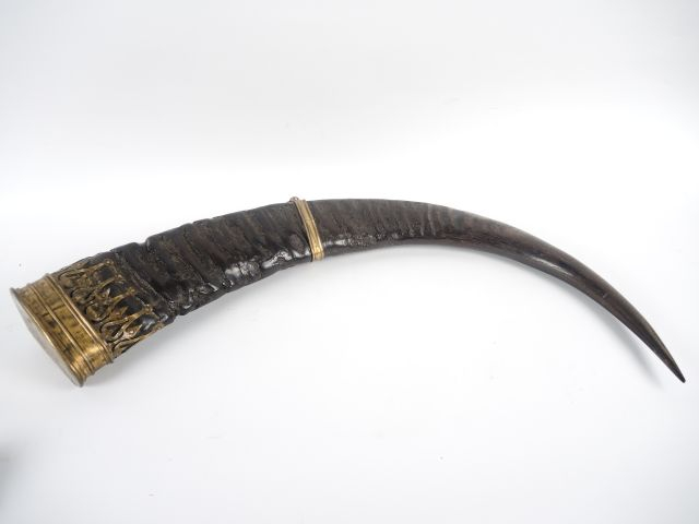 Trois cornes de buffles, dont une paire