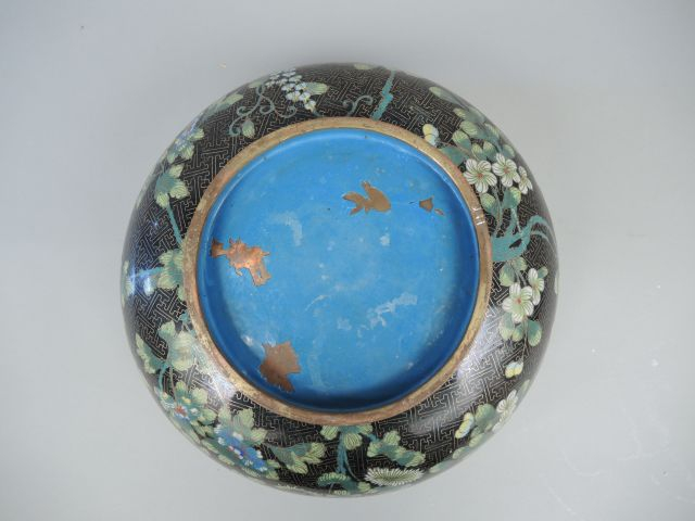 Coupe 1900 en émaux polychromes cloisonnés, à décor de fleurs, d’oisea