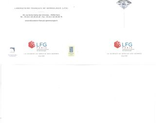 Brillant rectangulaire de 9,29 cts couleur M, pureté VS1, entouré de 4