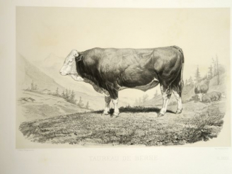 Vente aux enchères BAUDEMENT (Emile). Les races bovines au Concours agricole de Paris en 