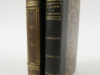 DAUDET (Alphonse). Sapho. Mœurs parisiennes. Paris, Charpentier 1884. 