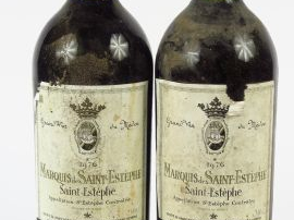 Vente aux enchères 2 MAGNUMS MARQUIS DE ST ESTEPHE - 1976 - BG/EA