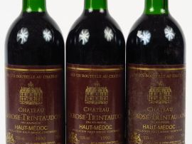 Vente aux enchères 3 BOUTEILLES CHÂTEAU LA ROSE TRINTAUDON CB HAUT MEDOC - 1990 - BG