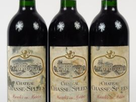 3 BOUTEILLES CHÂTEAU CHASSE SPLEEN CB MOULIS - 1999 - ELA
