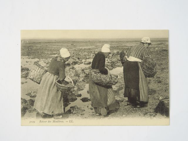 Album "Types et métiers bretons" comprenant environ 659 cartes postale