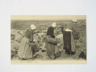 Vente aux enchères Album "Types et métiers bretons" comprenant environ 659 cartes postale