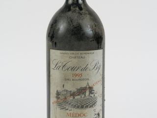 Vente aux enchères 1 MAGNUM CHÂTEAU LA TOUR DE BY CB MEDOC - 1995 - BS/EA/NIVEAU TOP