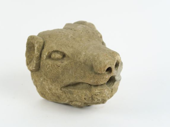 Fragment de gargouille en pierre : tête d’animal. H. 15 cm