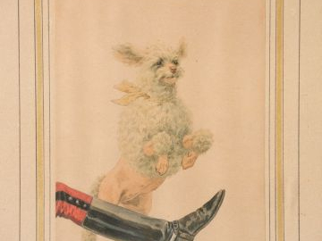 Charles de CONDAMY. Trois différentes aquarelles « Caniche sauteur », 