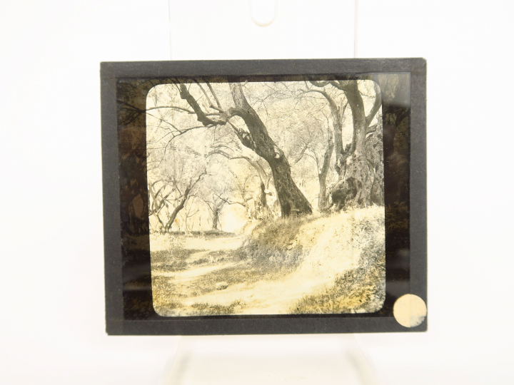 Ensemble de 15 plaques photographiques figurant des paysages.