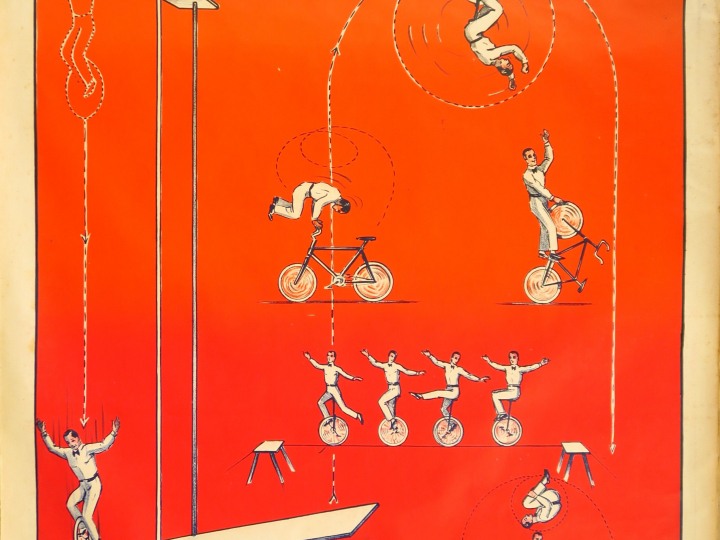 Affiche DARWINS "Attraction cycliste" 120 x 80 cm (quelques piqûres, t