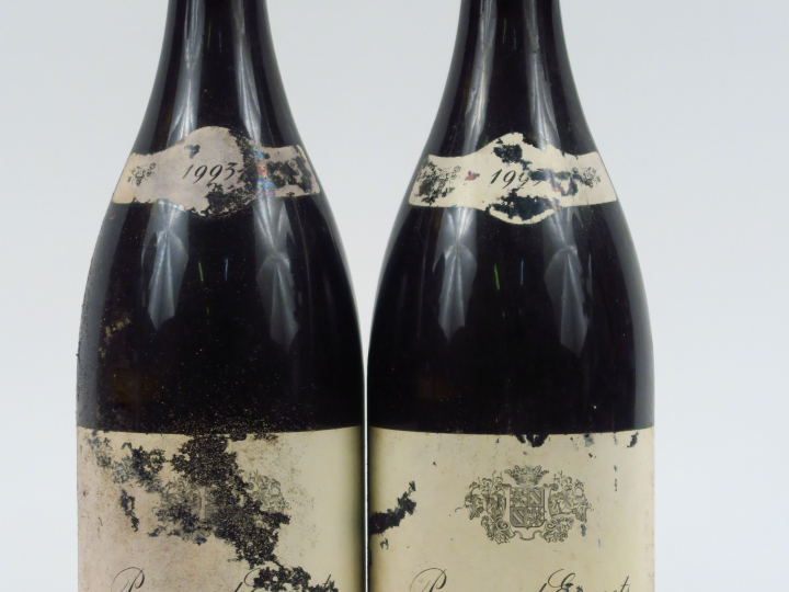 2 MAGNUMS POMMARD EPENOTS 1er CRU VAUDOISEY CREUSEFOND - 1993 - 0,5 CM