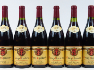Vente aux enchères 6 BOUTEILLES GEVREY CHAMBERTIN R. BRILLARD - 1995
