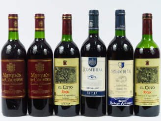 Vente aux enchères 6 BOUTEILLES VINS ESPAGNOLS : 2 MARQUES DE CACERES 1996 - 1 ROMERAL 19