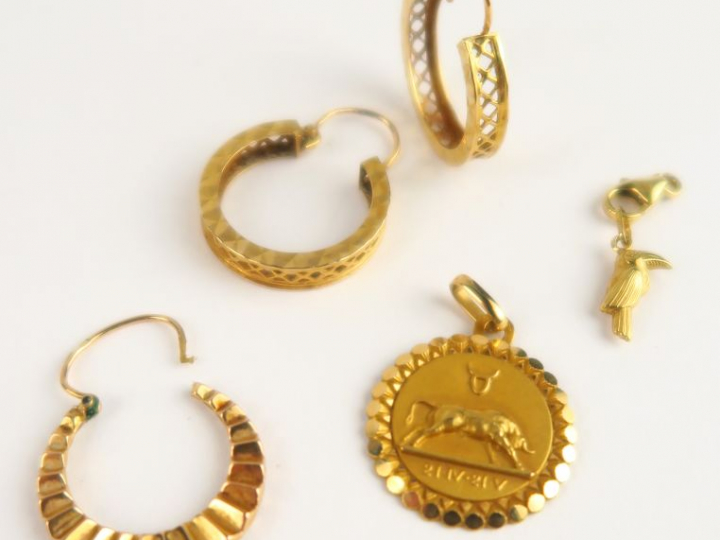 Paire de créoles, créole, médaille 'Taureau', pendentif toucan et ferm