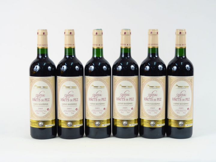 6 BOUTEILLES CHÂTEAU LES HAUTS DE PEZ ST ESTEPHE - 2005 - CBO