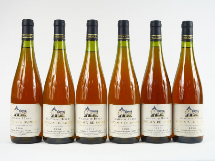 6 BOUTEILLES CHÂTEAU DU HUREAU COTEAUX DE SAUMUR P. et G. VATAN - 1990